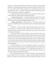 Lietuvos darbo rinkos struktūra 5 puslapis