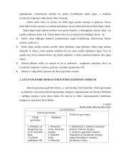 Lietuvos darbo rinkos struktūra 7 puslapis