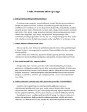 Profesinės etikos žinių reikšmė teisininkės, teisininko veiklai 3 puslapis