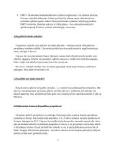 Politologijos žinių reikšmė teisininkės / teisininko veiklai 6 puslapis