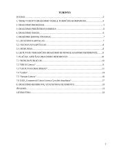 Lietuvos draudimo bendrovių apžvalga, jų funkcijos ir padėtis rinkoje 2 puslapis