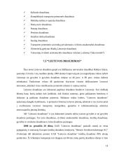 Lietuvos draudimo bendrovių apžvalga, jų funkcijos ir padėtis rinkoje 14 puslapis