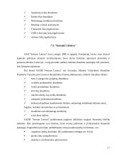 Lietuvos draudimo bendrovių apžvalga, jų funkcijos ir padėtis rinkoje 17 puslapis