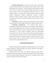 Lietuvos draudimo bendrovių apžvalga, jų funkcijos ir padėtis rinkoje 5 puslapis