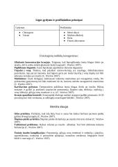 Insultas 11 puslapis