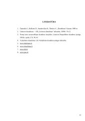 Lietuvos draudimo įmonių turto draudimo palyginimas 13 puslapis