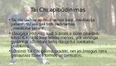 Netradiciniai gydymo metodai. Tai Chi  3 puslapis