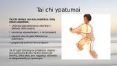 Netradiciniai gydymo metodai. Tai Chi  5 puslapis