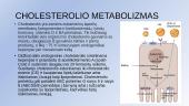 Biochemija. Žarnyno mikrobiotos vaidmuo cholesterolio metabolizmui 3 puslapis