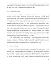 Aerobinio pajėgumo ir raumenų galingumo kaita po fizinio krūvio karštyje sukeltos dehidracijos 13 puslapis