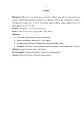 Lietuvos eksportas 2006-2007 metais 2 puslapis