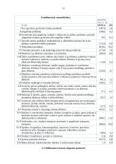 Lietuvos eksportas 2006-2007 metais 11 puslapis