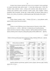 Lietuvos eksportas 2006-2007 metais 13 puslapis