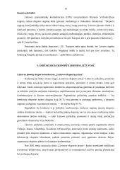 Lietuvos eksportas 2006-2007 metais 16 puslapis