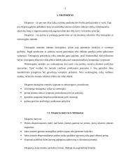 Lietuvos eksportas 2006-2007 metais 3 puslapis