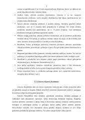 Lietuvos eksportas 2006-2007 metais 5 puslapis