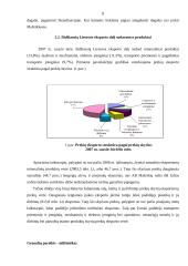 Lietuvos eksportas 2006-2007 metais 8 puslapis