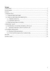 Lietuvos eksporto kitimo tendencijos 1999-2007 metais 2 puslapis