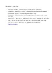 Lietuvos eksporto kitimo tendencijos 1999-2007 metais 19 puslapis