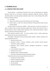 Lietuvos eksporto kitimo tendencijos 1999-2007 metais 6 puslapis