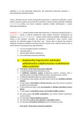 Atsakomybę lengvinančios ir sunkinančios aplinkybės 11 puslapis