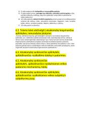 Atsakomybę lengvinančios ir sunkinančios aplinkybės 12 puslapis