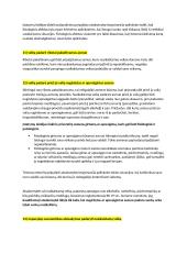 Atsakomybę lengvinančios ir sunkinančios aplinkybės 5 puslapis