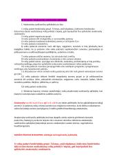 Atsakomybę lengvinančios ir sunkinančios aplinkybės 6 puslapis