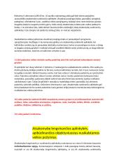 Atsakomybę lengvinančios ir sunkinančios aplinkybės 10 puslapis