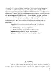 Lietuvos eksporto kitimo tendencijos prieš ir po įstojimo į Europos Sąjungą (ES) 3 puslapis