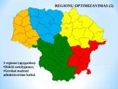 Aplinkos apsaugos valstybinės kontrolės sistemos pertvarkos vizija 19 puslapis
