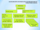 Aplinkos apsaugos valstybinės kontrolės sistemos pertvarkos vizija 4 puslapis