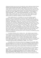 Tėvų ir vaikų santykiai J. Grušo tragikomedijoje ,,Meilė, džiazas ir  velnias“ 2 puslapis