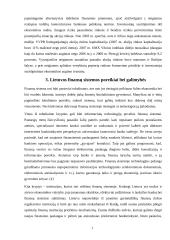 Lietuvos finansų sistema: šiandieninė būsena ir plėtros poreikiai bei galimybės 13 puslapis