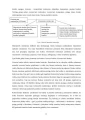 Lietuvos finansų sistema: šiandieninė būsena ir plėtros poreikiai bei galimybės 8 puslapis