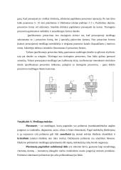Plastikų tipai ir gamybos technologijos 4 puslapis