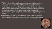 Varis. Cheminio elemento pristatymas 2 puslapis