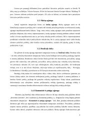 Lietuvos integracijos į Europos Sąjungą (ES) ekonominė nauda 5 puslapis