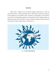 Migracijos tendencijos Lietuvoje 9 puslapis