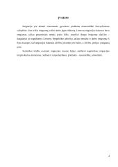 Migracijos tendencijos Lietuvoje 2 puslapis