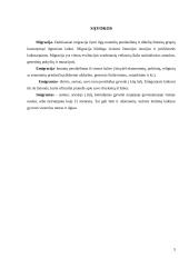 Migracijos tendencijos Lietuvoje 3 puslapis