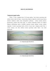 Migracijos tendencijos Lietuvoje 5 puslapis