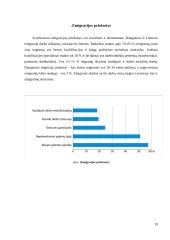 Migracijos tendencijos Lietuvoje 8 puslapis