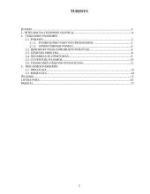 Lietuvos integracijos į Europos Sąjungą (ES) ekonominės pasekmės 2 puslapis