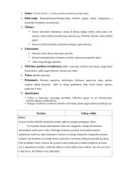 Žiemos sporto šventės scenarijus