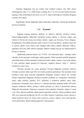 Lietuvos ir Bulgarijos palyginamoji analizė 8 puslapis