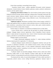 Lietuvos ir Estijos švietimo politika 15 puslapis