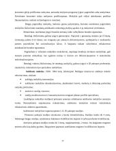 Lietuvos ir Estijos švietimo politika 17 puslapis