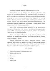 Aviečių ūkio įkūrimas 2 puslapis