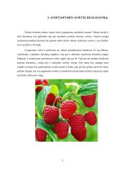 Aviečių ūkio įkūrimas 4 puslapis